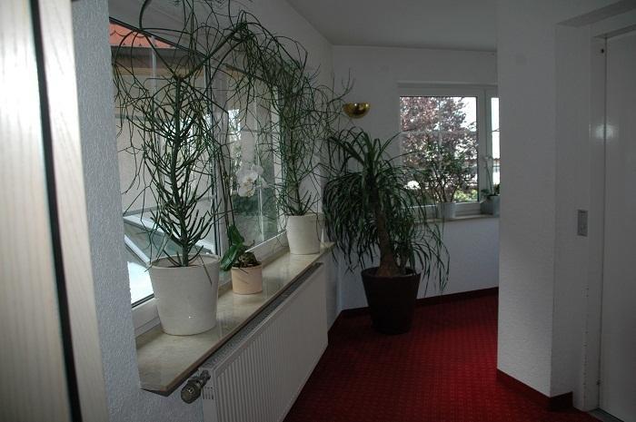 Mayers Waldhorn - zwischen Reutlingen und Tübingen Kusterdingen Exterior foto
